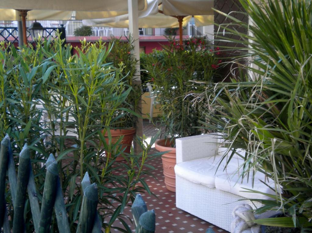 Hotel Nova Dhely Rimini Extérieur photo